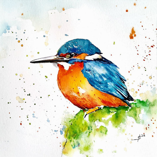 Kingfisher